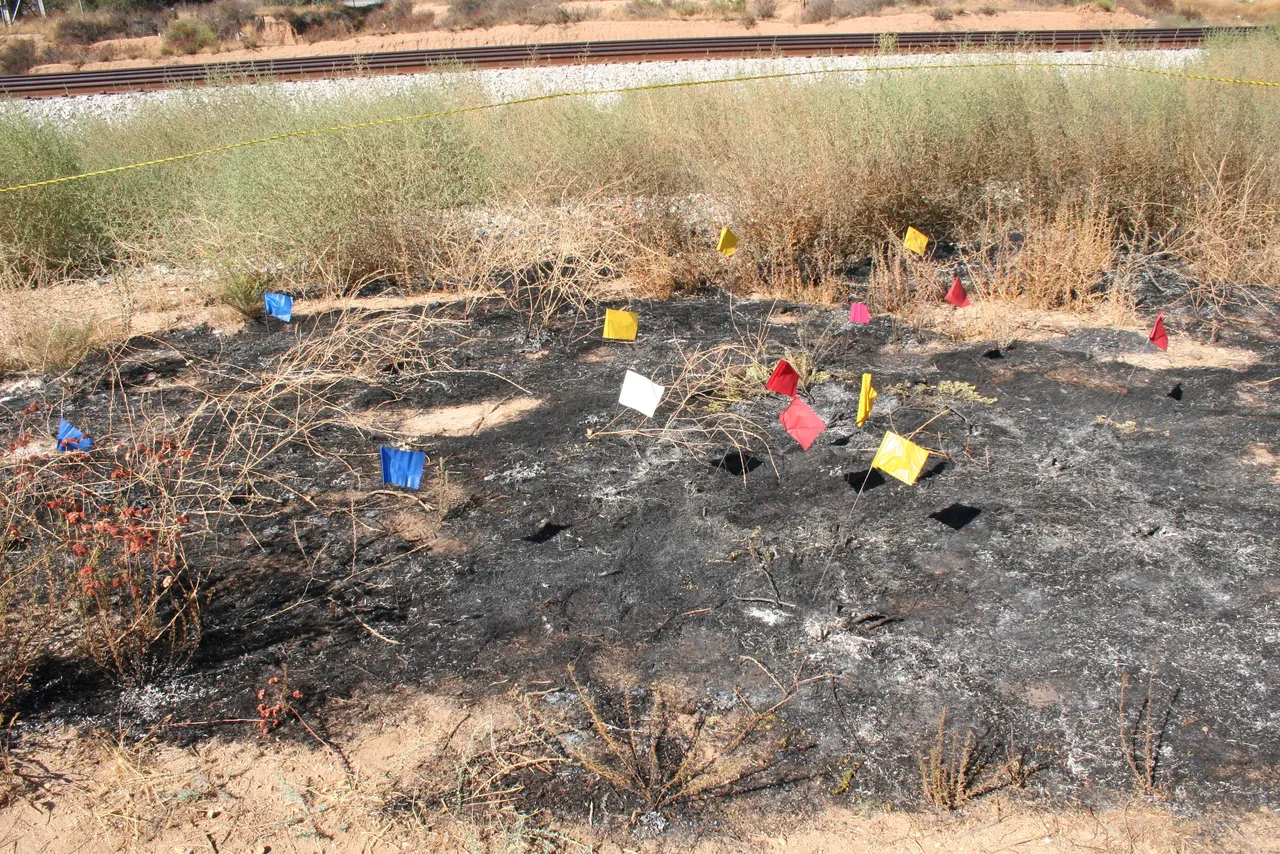 Case Review & Consulting